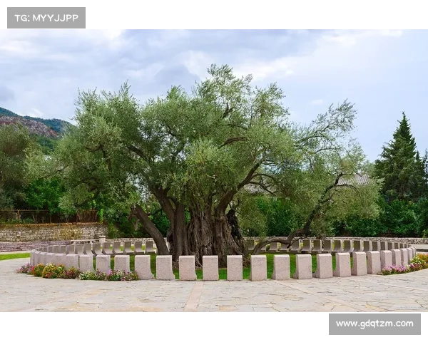 神兽森林探险全攻略:踏入神秘世界,探索未知生物与奇幻秘境 神兽森林探险全攻略:踏入神秘世界,探索未知生物与奇幻秘境