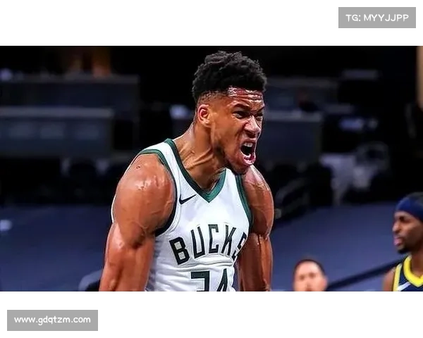 字母哥国家队身份背后的五大揭秘要素全面解析荣耀与挑战并存