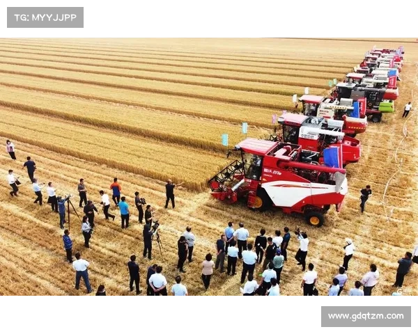 如何提升小麦国家队在国际比赛中的综合表现与竞争力