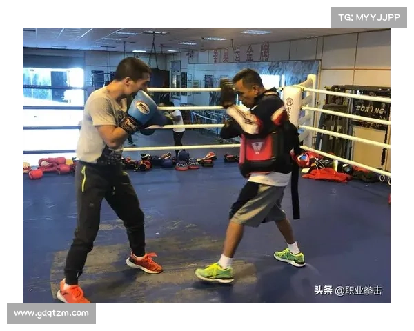 拳击比赛节目内容的多元化呈现与创新元素探析